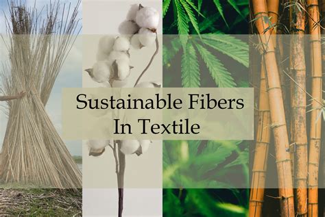 ¿Fibra de Flax: Una maravilla textil sostenible?