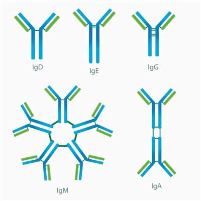  Inmunoglobulina de Oro: ¿Un Material Extraordinario para la Ingeniería Biomédica?