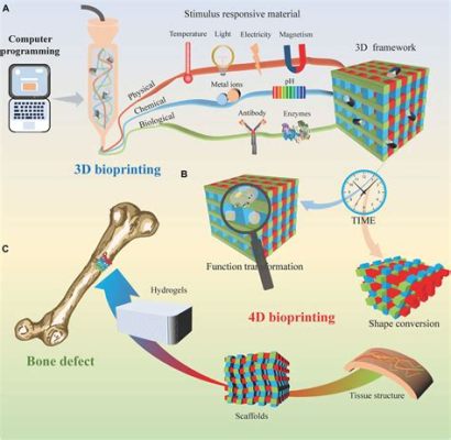  ¿Lactide: El Futuro de la Ingeniería Tisular Biodegradable?