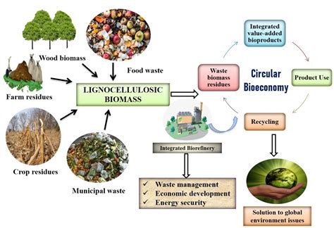  Lignocellulosic Biomass: ¡El material mágico para una revolución energética sostenible!