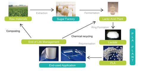 ¡Polylactic Acid: Un Campeón Sostenible en la Fabricación Aditiva y Embalaje Biodegradable!