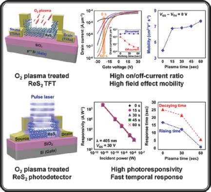  Rhenium Disulfide: Unlocking the Potential for High-Performance Energy Storage and Flexible Electronics!