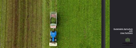  Urea, Abono Fundamental para un Crecimiento Agrícola Sostenible!